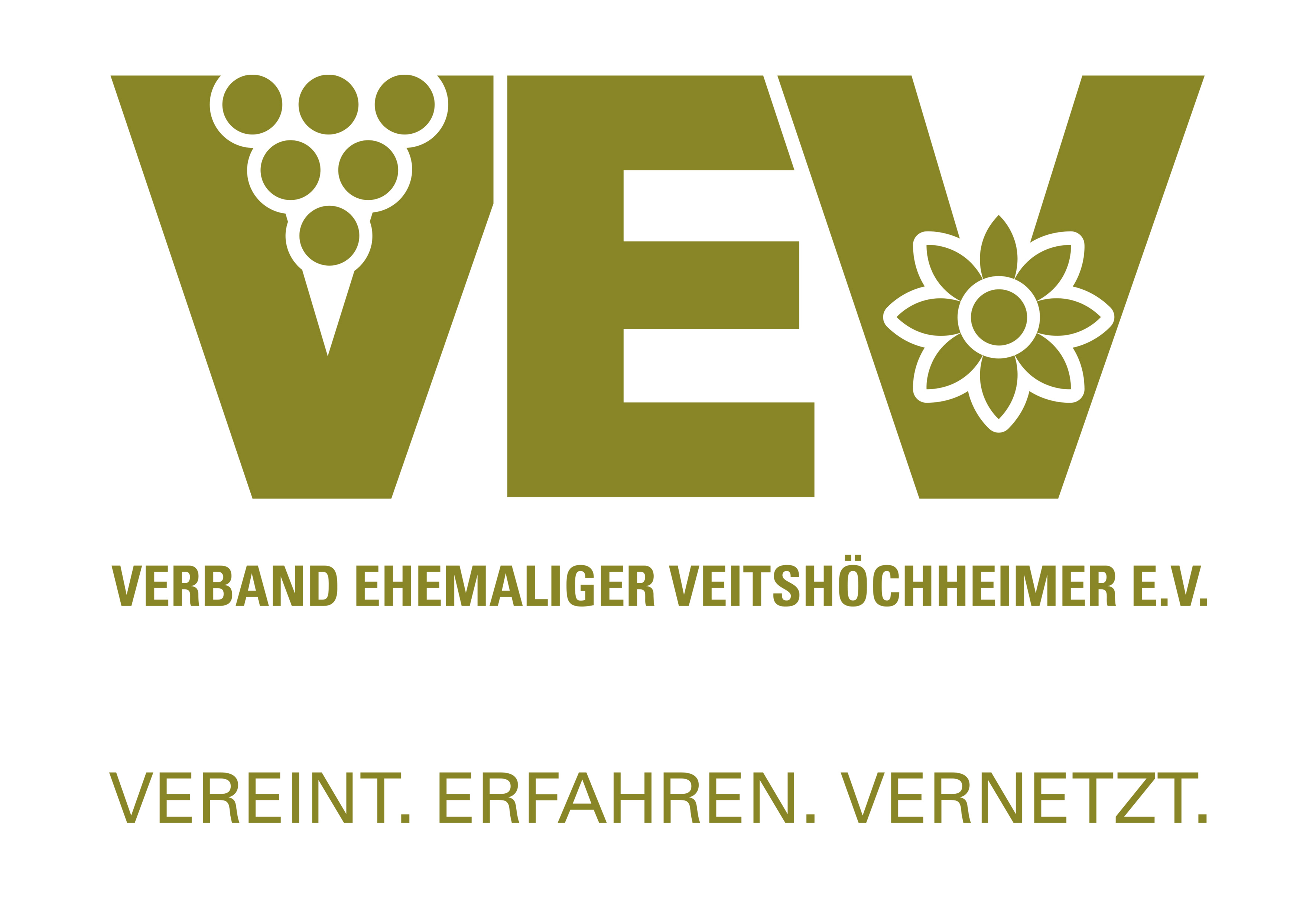 VEV Logo